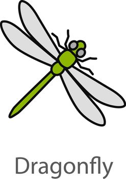 Dragonfly color icon