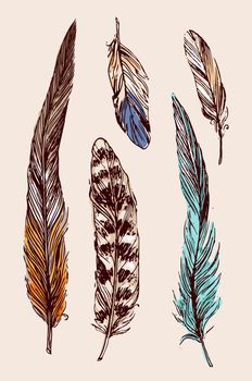 Feathers sketch. Hand drawn vector beautiful illustration.