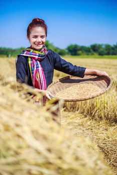 farmer woman threshed rice in field