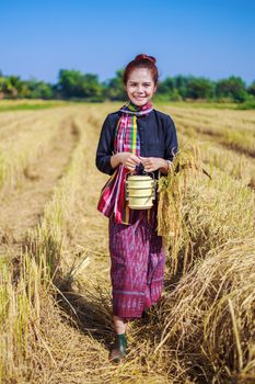 farmer woman with tiffin carrier in rice field