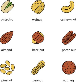 Nuts types color icons set