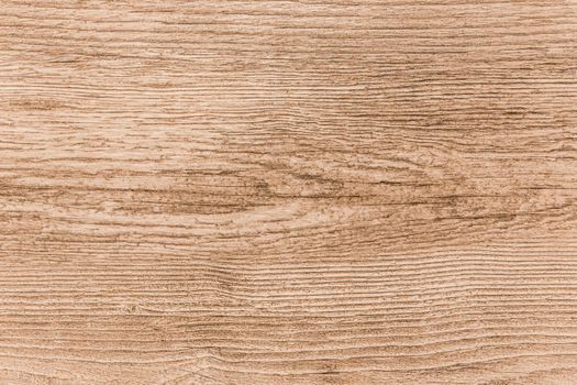 Light abstract wooden surface pattern texture background