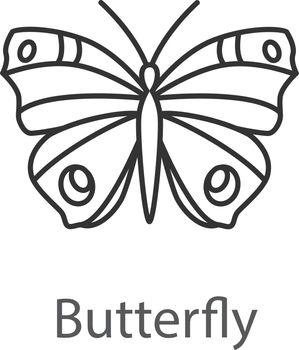 Butterfly linear icon