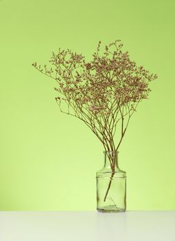 bouquet of dried flowers in a glass transparent vase on a white table, green background