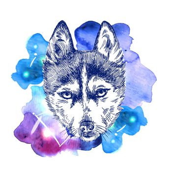 animal on watercolor space