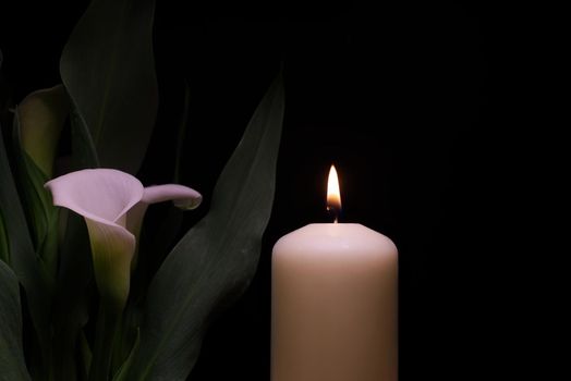 Candle burning flame in the darkness and arum lilies