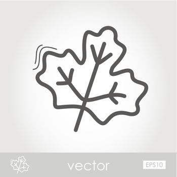 Autumn Leaves maple outline icon