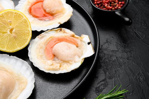 Shellfish Scallops in seashells with garlic and spices, on black dark stone table background, with copy space for text