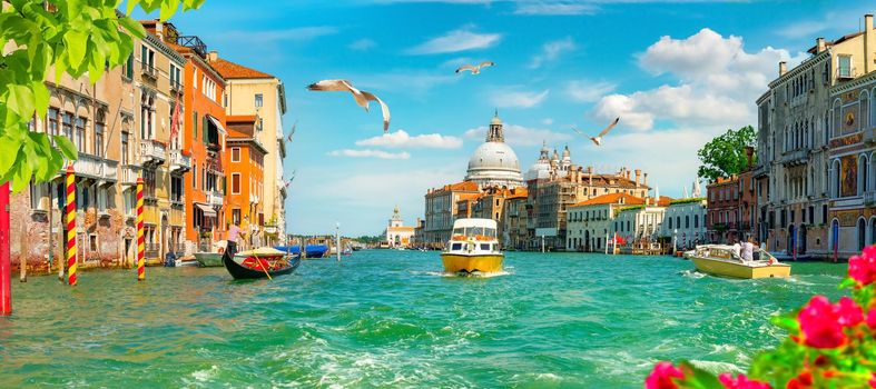 Summer cityscape of Venice