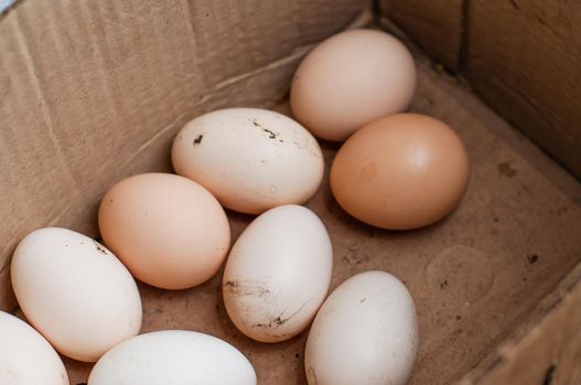 Homemade eco-friendly and healthy eggs lie in a cardboard box