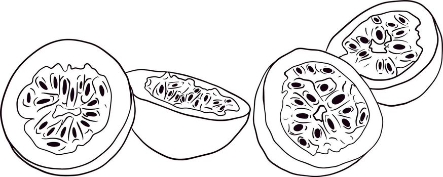 Vector hand drawn set of passion fruits. Passion fruit illustration. Delicious tropical vegetarian objects. Coloring pages