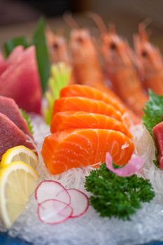 Japanese style assorted sashimi dish