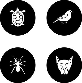 Pets glyph icons set
