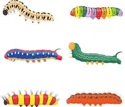 A bright colored set of different insect caterpillars. Different larvae of butterflies and beetles.Each object is isolated. Vector illustration on white background.