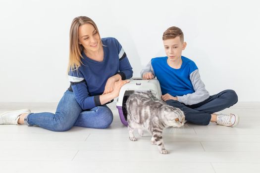 Positive good-looking mother and son launch their beautiful gray Scottish Fold cat into their new apartment after the move. Housewarming concept.