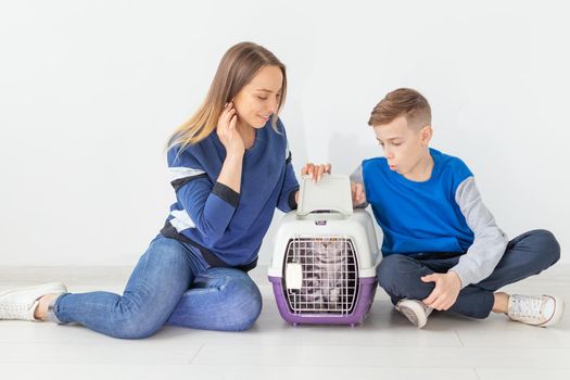Positive good-looking mother and son launch their beautiful gray Scottish Fold cat into their new apartment after the move. Housewarming concept.