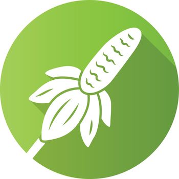 Mexican hat wild flower green flat design long shadow glyph icon. Upright prairie coneflower. Ratibida columnifera plant. Blooming wildflower. Spring blossom. Vector silhouette illustration