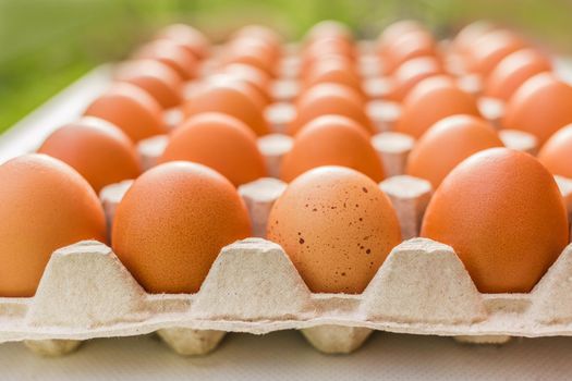 Raw chicken eggs in a cardboard tray with brown eggs, close up