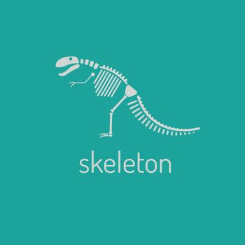 Dinosaur skeleton. Megalosaurus. Vector Image isolated on green background.for printing on clothing