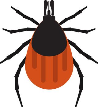 Mite bugs vector illustration.
