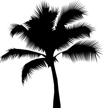 Coconut palm tree black silhouette isolated on a white background illustration. Icon, sign. Art logo design