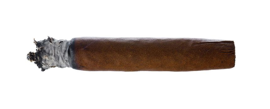 Burning hand rolled cigar isolated on white