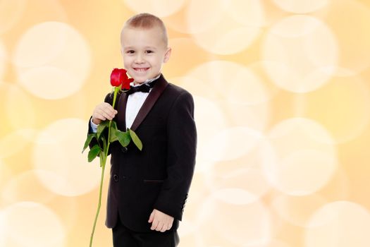 Little boy with a rose flower.