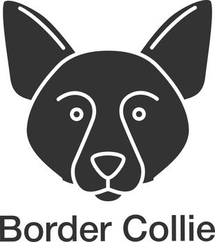 Border Collie glyph icon