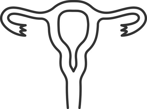 Uterus, fallopian tubes and vagina linear icon