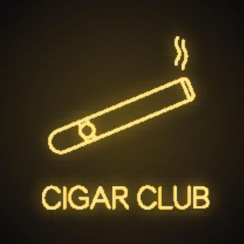 Burning cigar neon light  icon