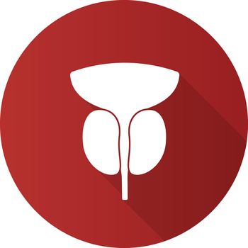 Prostate gland and urethra flat design long shadow glyph icon