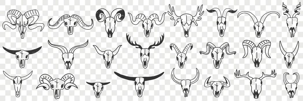 Buffalo horns as decorations doodle set
