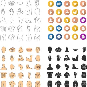 Human body parts icons set