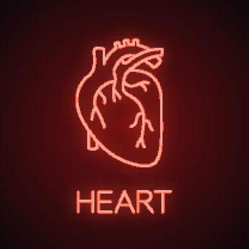Human heart anatomy neon light icon