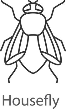Housefly linear icon