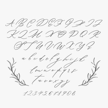 Modern calligraphy Alphabet.Wedding Monogram, Logo, Invitation.