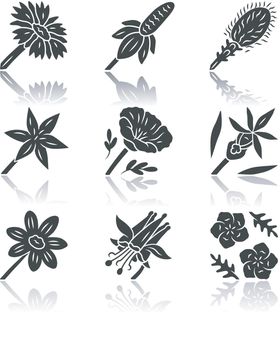 Wild flowers drop shadow black glyph icons set. Mexican hat, liatris, common star lily, poppy, calypso orchid, coreopsis, crimson columbine, blue flax, blanket flower. Isolated vector illustrations