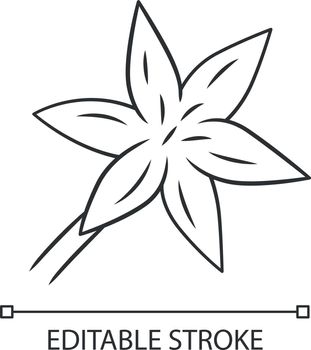 Common star lily linear icon. Blooming wildflower. Spring blossom. Toxicoscordion fremontii plant. Star zigadene. Thin line illustration. Contour symbol. Vector isolated drawing. Editable stroke
