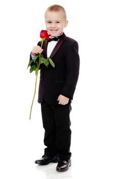 Little boy with a rose flower.