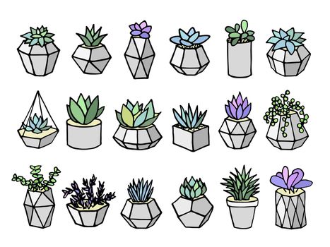 Set of succulents cactus houseplants in grey flower pots. Vector icons on white background