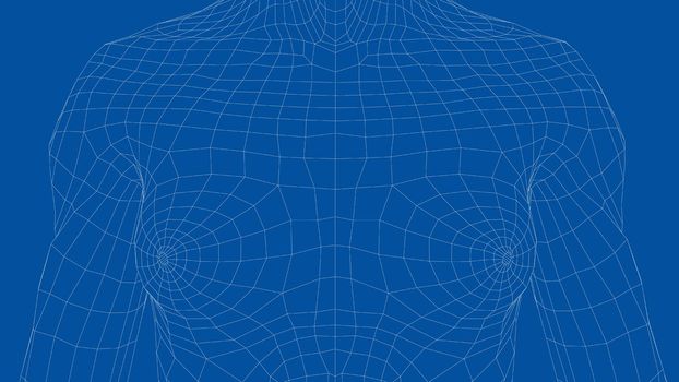 Wireframe female breast. Close-up view