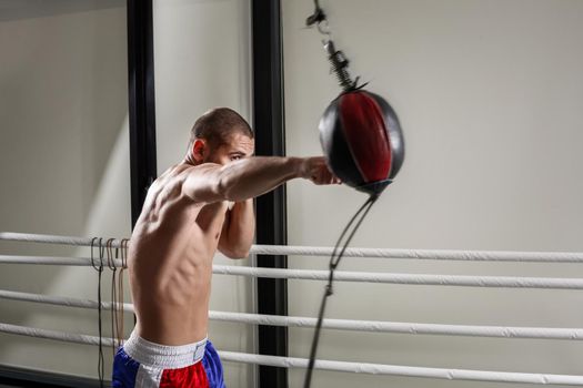 A boxer wearing gloves in the training hall. Boxer kick in the gym.