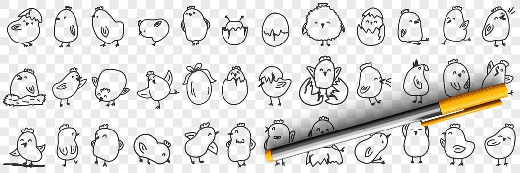 Small chicks on farm doodle set