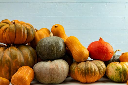 Assortment of small pumpkins on wooden background