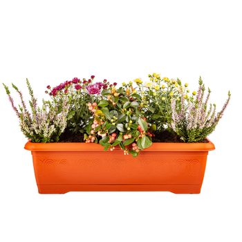 Variety of flowers in pots.