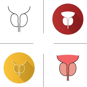 Prostate gland and urethra icon