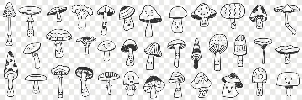 Edible and inedible mushroom doodle set