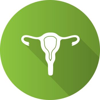 Uterus, fallopian tubes and vagina flat design long shadow glyph
