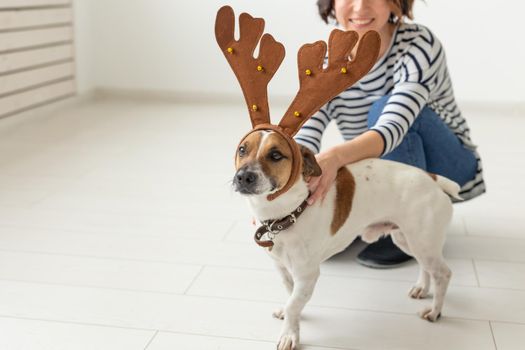 Pet, fun, christmas and people concept - young woman playing with funny jack russell terrier, it in a antler