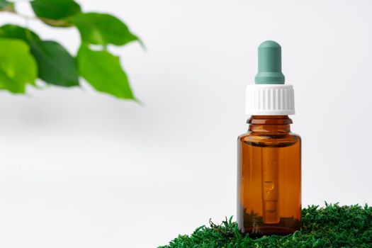 Cosmetics in a bottle, essential oil on moss